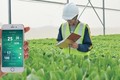 应用高科技助力农业转型