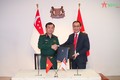 越南与新加坡强化防务合作  致力于共同利益 