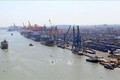 2022年前10月越南港口货物吞吐量增长3%