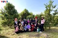 广宁省少数民族妇女积极从事生态旅游