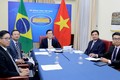 越南与巴西第八次外交部副部长级政治磋商在线召开