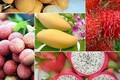 越南蔬果出口额突破31亿美元