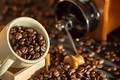 越南咖啡出口额创下历史新高
