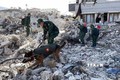 土耳其和叙利亚地震：越南人民军救援队救援工作初步成果