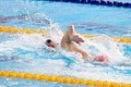 由30人组成的越南游泳队将参加第32届东运会