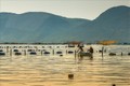 专家呼吁印尼借鉴越南渔业发展经验