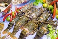 越南龙虾对中国市场出口猛增