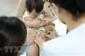 越南卫生部颁布关于到2030年接种疫苗供应保障计划的实施方案