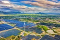 越南努力克服过渡性可再生能源项目定价方面存在的不足