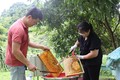 高平省蜜蜂养殖业助力扶贫济困工作