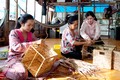 为高棉族妇女创造可持续生计