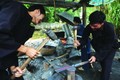 Xã Phúc Sen, huyện Quảng Uyên (Cao Bằng) nổi tiếng với nghề rèn nông cụ sản xuất như dao, lưỡi cuốc, lưỡi cày…Ảnh: Nguyễn Hoàng - DTMN