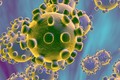 Nhiệt độ, độ ẩm và bề mặt tác động đến thời gian sống sót của virus SARS-CoV-2
