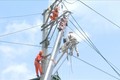 Công nhân ngành điện Sơn La sửa chữa, vận hành lưới điện, bảo đảm cấp điện phục vụ sinh hoạt, sản xuất và kinh doanh của khách hàng. Ảnh: Nguyễn Cường – TTXVN