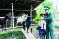 Bộ đội Biên phòng A Lưới hướng dẫn đồng bào phương pháp chăm sóc đàn dê. Ảnh: Đỗ Trưởng