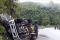 Sơn La: Đổ đèo Chiềng Đông xe tải chở trâu mất lái, lao vào ta-luy dương 