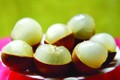 Thanh Nhãn Bạc Liêu có ưu điểm trái to, hạt nhỏ, cơm dày, ráo nước, vị ngọt thanh. Ảnh: Thanh Nhã