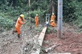 Công nhân Điện lực huyện Kbang khắc phục sự cố điện. Ảnh: Hoài Nam – TTXVN