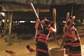 Giã gạo chày tư ở làng của người Cơ-tu. Ảnh: Tấn Vịnh
