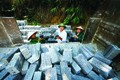 Cơ sở sản xuất gạch bê tông của gia đình ông Nguyễn Văn Hùng đem lại công ăn việc làm thường xuyên cho bà con đồng bào dân tộc Mường. Ảnh: An Nhiên