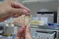 Vaccine Covivac thành phẩm do Viện Vaccine và Sinh phẩm Y tế (thuộc Bộ Y tế) đặt tại Khánh Hòa nghiên cứu và sản xuất. Ảnh: Phan Sáu – TTXVN