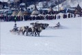 Các vận động viên tranh tài tại cuộc đua hươu kéo xe trượt tuyết được tổ chức trong khuôn khổ ngày hội của người chăn hươu phương Bắc. Ảnh: Trần Hiếu - PV TTXVN tại Nga