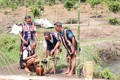 Các già làng thực hiện nghi lễ cúng Giọt nước. Ảnh: Hồng Điệp – TTXVN