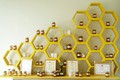 Sản phẩm mật ong Hoa Ban và mật ong bánh tổ của Hợp tác xã ong mật Điện Biên được Hội đồng đánh giá, xếp hạng sản phẩm OCOP cấp tỉnh xếp loại 4 sao. Ảnh: Xuân Tư
