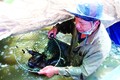 Thả nuôi cá rô đem lại thu nhập cao cho bà con nông dân ở ấp Bình Thành, xã Bình Thành, huyện Thoại Sơn (An Giang). Ảnh: Công Mạo