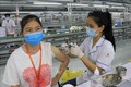Tiêm phòng vaccine phòng COVID-19 cho công nhân tại Công ty TNHH Goerteck Vina, Khu công nghiệp Quế Võ, tỉnh Bắc Ninh. Ảnh: Thanh Thương- TTXVN
