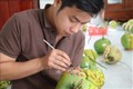 Anh Trần Minh Nhựt vẽ trên trái dừa. Ảnh: Thanh Bình-TTXVN