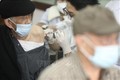Nhân viên y tế tiêm vaccine phòng COVID-19 cho người cao tuổi phường Lê Đại Hành (quận Hai Bà Trưng), sáng 26/2/2022. Ảnh: Minh Quyết - TTXVN