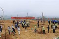 Lai Châu phấn đấu trồng 50 nghìn cây xanh năm 2022. Ảnh: Nguyễn Oanh-TTXVN