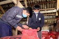 Anh Thèn Văn Hiển (bên trái ảnh) kiểm tra chất lượng lúa sau thu hoạch của 1 hộ đồng bào trong thôn. Ảnh: Vũ Quang Đán