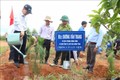 Bí thư Tỉnh ủy Kon Tum Dương Văn Trang trồng cây tại Lễ ra quân. Ảnh: TTXVN phát