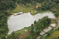 Công trình hồ chứa nước Tho Lóng (xã Mường Giàng, huyện Quỳnh Nhai) có dung tích chứa gần 100.000m3. Ảnh: Hữu Quyết – TTXVN