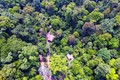 Sở Chỉ huy Chiến dịch Điện Biên Phủ ẩn hiện trong đại ngàn rừng già Mường Phăng. Ảnh: Xuân Tiến