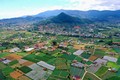 Huyện Đơn Dương (Lâm Đồng) hiện có trên 11.000 ha rau, hoa ứng dụng công nghệ cao (chiếm 94,3% diện tích đất canh tác toàn huyện), giá trị sản xuất nông nghiệp đạt 220 triệu đồng/ha/năm. Ảnh: Ngọc Hà