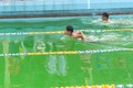 Vận động viên tham gia Giải bơi lội thiếu niên, nhi đồng tỉnh Vĩnh Long năm 2022. Ảnh: Lê Thúy Hằng – TTXVN