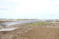 Công trình kè giảm sóng bảo vệ bờ biển khu vực Cồn Bửng đã khắc phục sạt lở bờ biển và gây bồi, tạo bãi. Ảnh: Công Trí-TTXVN