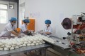 Quy trình sản xuất bánh Trung thu của Công ty Bánh Mứt kẹo Hà Nội đảm bảo an toàn vệ sinh thực phẩm từ khâu làm bánh cho đến đóng gói. Ảnh: Phương Anh-TTXVN