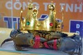 Ngày hội cua Cà Mau: Cua “Bình Dư” nặng 1,452kg từ huyện Năm Căn giành giải cua lớn nhất