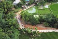 Tuyên Quang nỗ lực giảm nghèo bền vững