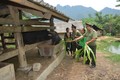 Công an huyện Lâm Bình thực hiện “4 cùng” với đồng bào Mông trên địa bàn. Ảnh: TTXVN phát