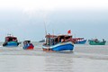 Phú Tân - khát vọng làm giàu từ biển