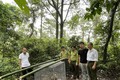 Hạt Kiểm lâm huyện Tam Dương, tỉnh Vĩnh Phúc cùng Ban Quản lý rừng Quốc gia Tam Đảo tổ chức thả cá thể khỉ đuôi lợn về môi trường rừng tự nhiên. Ảnh: TTXVN phát