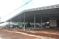 Một kho, vựa sầu riêng đang được xây dựng tại xã Ea Kênh, huyện Krông Pắc vi phạm liên quan đến xây dựng sai giấy phép đang trong quá trình xử lý vi phạm hành chính. Ảnh: Tuấn Anh – TTXVN
