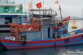 Tàu thuyền có công suất lớn của xã đảo Tam Hải (Núi Thành, Quảng Nam) được bố trí chỗ neo đậu an toàn trong mùa mưa bão. Ảnh: Đoàn Hữu Trung - TTXVN