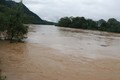 Nước sông Lam đoạn qua thị trấn huyện Con Cuông, Nghệ An đang dâng cao. Ảnh: Nguyễn Văn Nhật – TTXVN