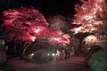 Vẻ đẹp lung linh của ngôi chùa vào buổi tối. Ảnh: Phạm Tuân - PV TTXVN tại Nhật Bản